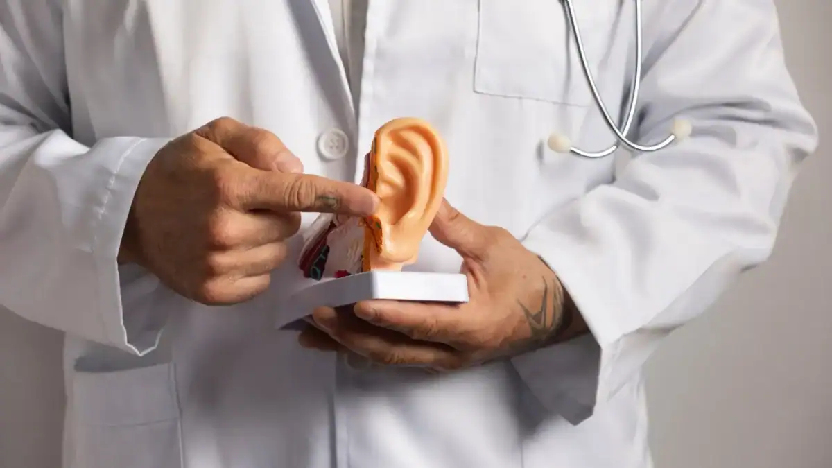 Learn about recent research in audiology, including discoveries in hearing loss, improved screenings, advanced treatments, brain health connections, and expanding telehealth services.